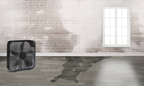 Best Commercial water damage restoration  in Gamerco, NM