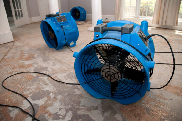 Best Water damage restoration specialists  in Gamerco, NM