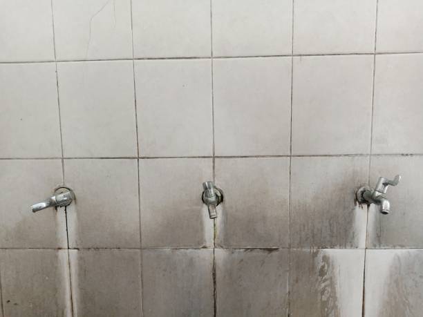 Best Professional water damage repair  in Gamerco, NM