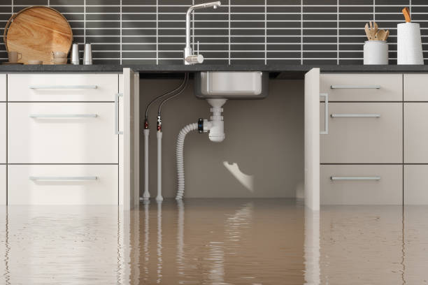 Best Ceiling water damage repair  in Gamerco, NM