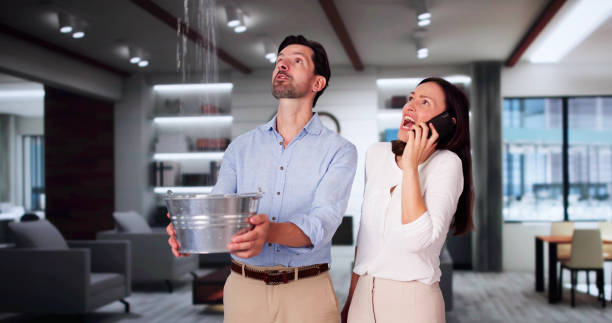 Best Local water damage restoration  in Gamerco, NM